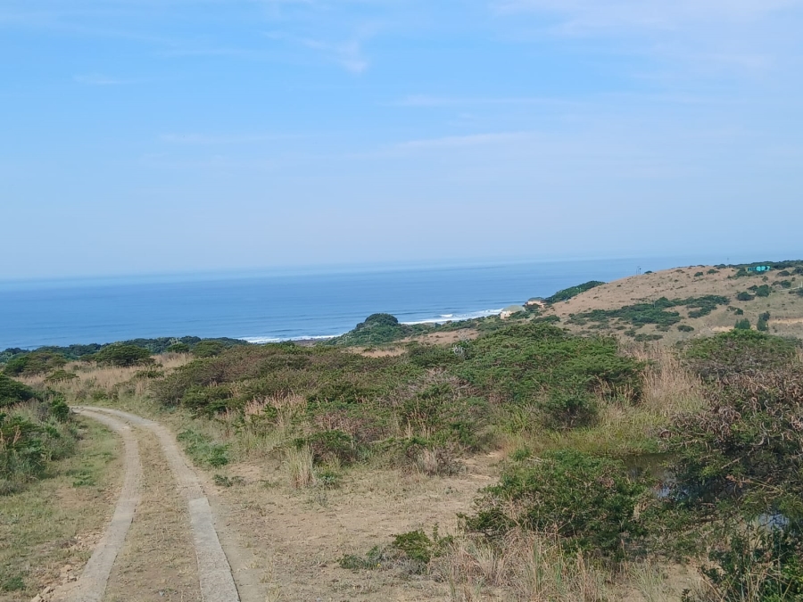 0 Bedroom Property for Sale in Morgans Bay Eastern Cape